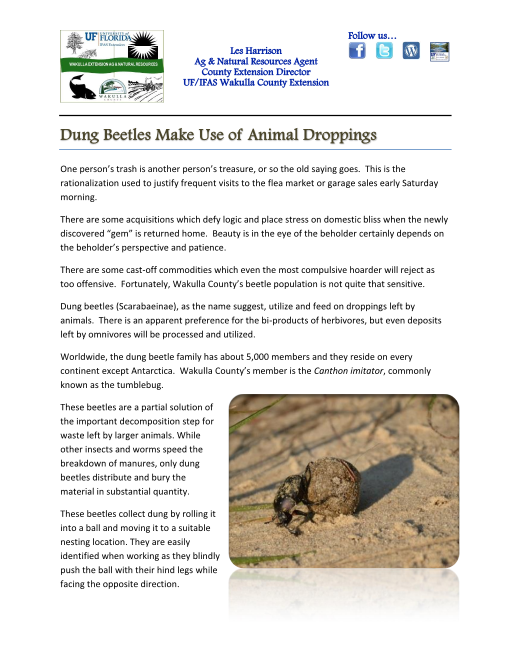 Dung Beetles Make Use of Animal Droppings