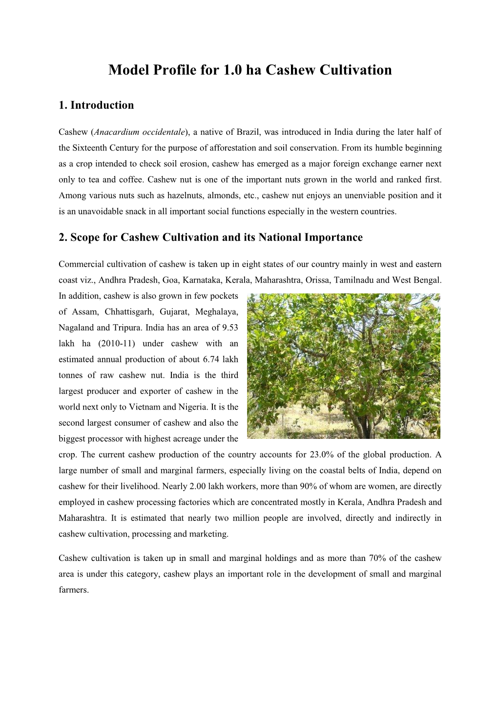 Model Profile for 1.0 Ha Cashew Cultivation