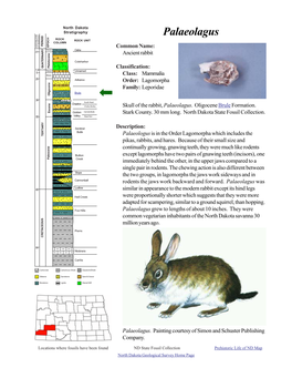 Palaeolagus ROCK ROCK UNIT COLUMN PERIOD EPOCH AGES MILLIONS of YEARS AGO Common Name: Holocene Oahe .01 Ancient Rabbit
