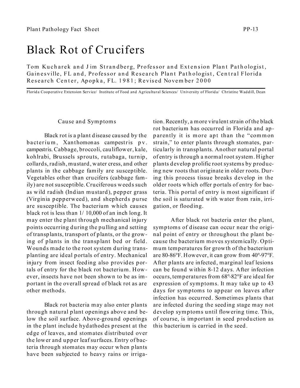 Black Rot of Crucifers