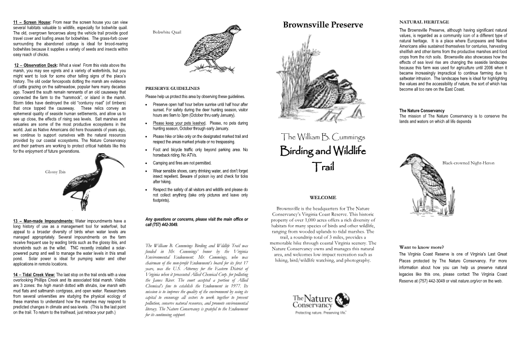 William B. Cummings Birding and Wildlife Trail Brochure