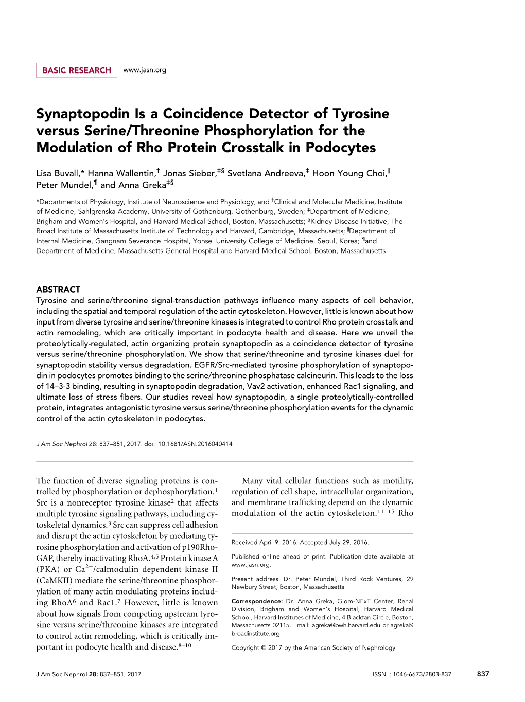 Synaptopodin Is a Coincidence Detector of Tyrosine Versus Serine/Threonine Phosphorylation for the Modulation of Rho Protein Crosstalk in Podocytes
