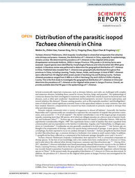 Distribution of the Parasitic Isopod Tachaea Chinensis in China Weibin Xu, Zhibin Han, Yuenan Xing, Xin Li, Yingying Zhao, Qijun Chen & Yingdong Li *