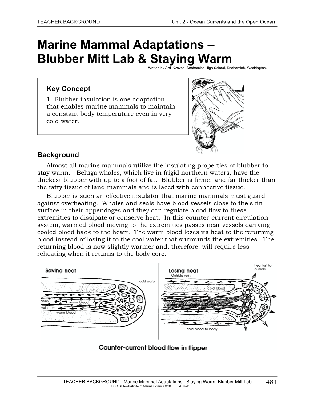 Blubber Mitt Lab & Staying Warm