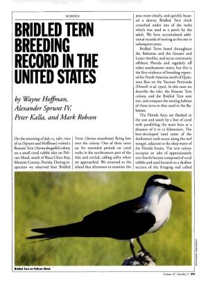 Bridled Tern Breeding Record in the United States