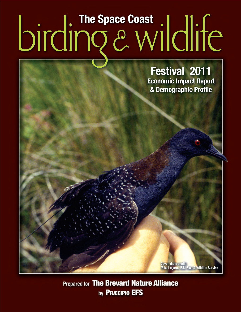 The Space Coast Birding & Wildlife Festival 2011 Economic Impact Report & Demographic Profile