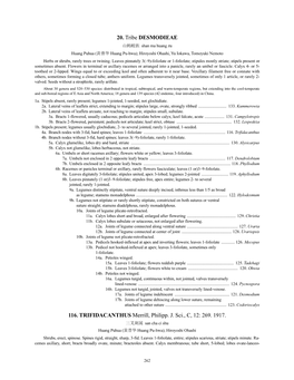 20. Tribe DESMODIEAE 116. TRIFIDACANTHUS Merrill, Philipp