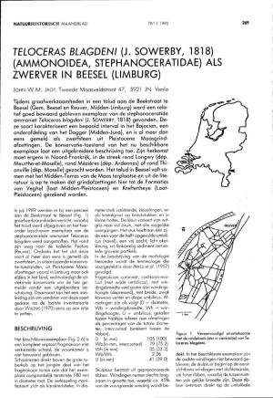 J. Sowerby, 1818) (Ammonoidea, Stephanoceratidae) Als Zwerver in Beesel (Limburg)