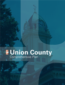 UNION COUNTY, NC Including the Fact That the Data Is Dynamic and Is in a Constant State of Maintenance
