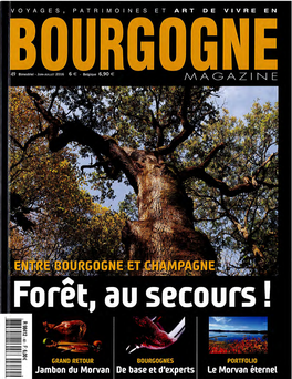 Bourgogne Magazine
