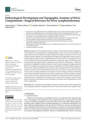 Embryological Development and Topographic Anatomy of Pelvic Compartments—Surgical Relevance for Pelvic Lymphonodectomy