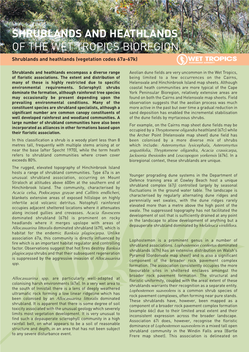 Shrublands and Heathlands of the Wet Tropics Bioregion