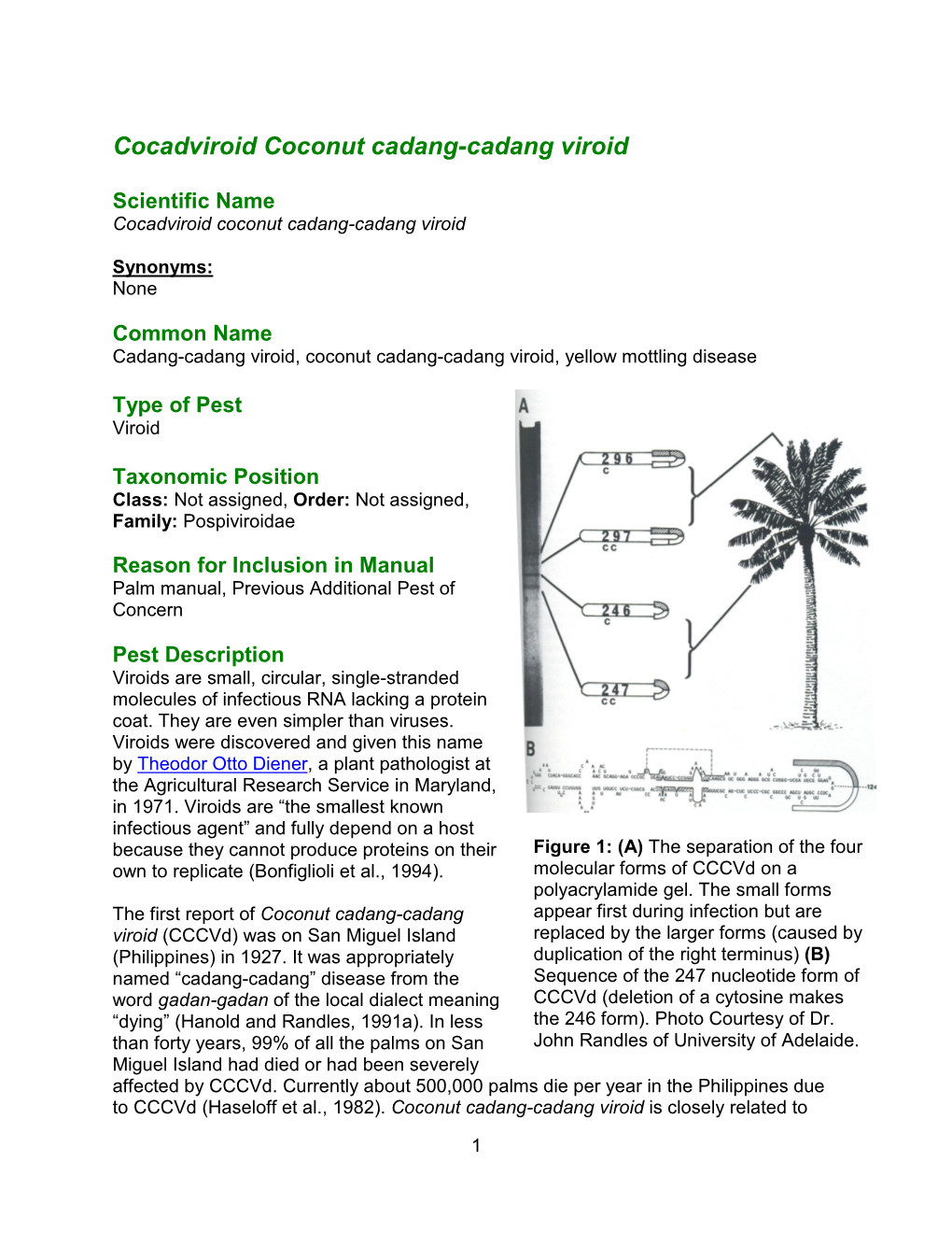 Cocadviroid Coconut Cadang-Cadang Viroid