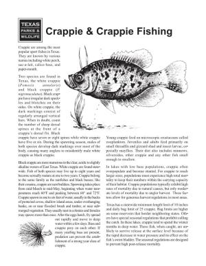 Crappie and Crappie Fishing