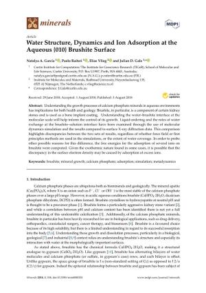 Water Structure, Dynamics and Ion Adsorption at the Aqueous {010} Brushite Surface