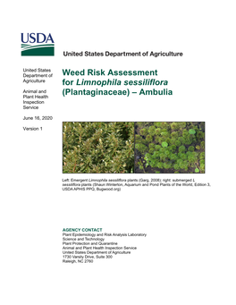 Limnophila Sessiliflora Animal and Plant Health (Plantaginaceae) – Ambulia Inspection Service