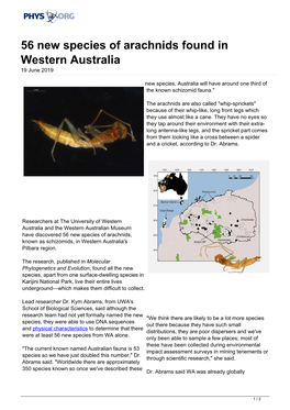 56 New Species of Arachnids Found in Western Australia 19 June 2019