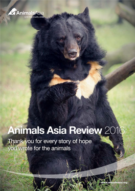 Animals Asia Review 2016 Thank You for Every Story of Hope You Wrote for the Animals