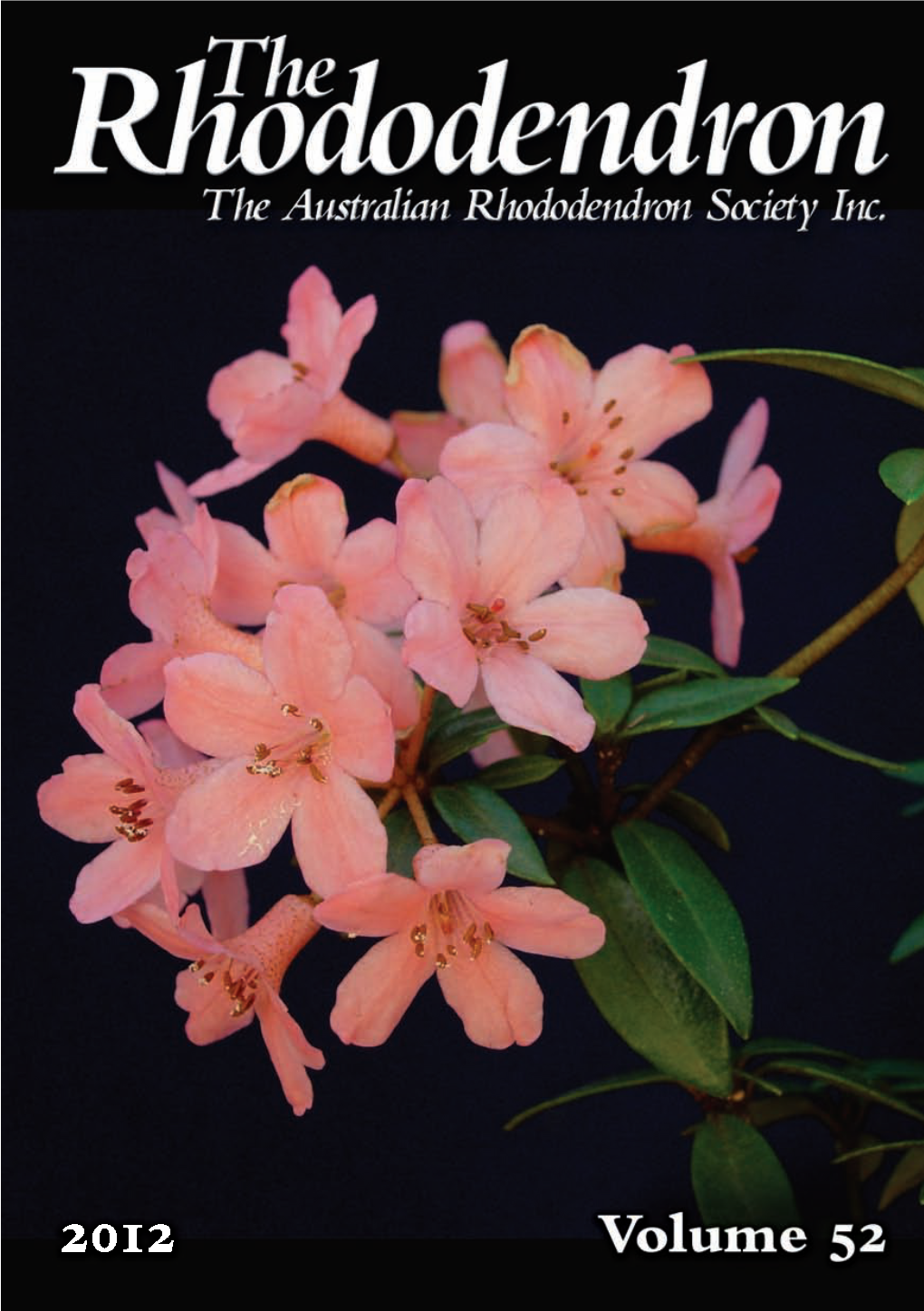 2012 the Rhododendron.Pdf