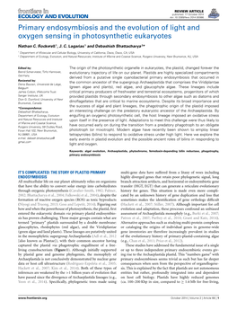 Primary Endosymbiosis and the Evolution of Light and Oxygen Sensing in Photosynthetic Eukaryotes