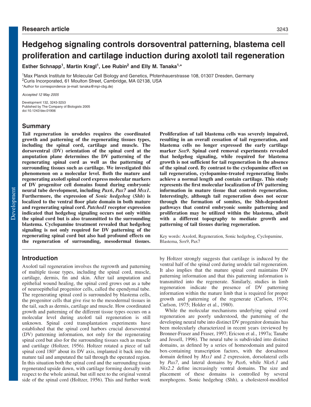 Hedgehog Signaling Controls Dorsoventral Patterning, Blastema Cell Proliferation and Cartilage Induction During Axolotl Tail