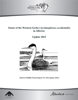 Status of the Western Grebe (Aechmophorus Occidentalis) in Alberta