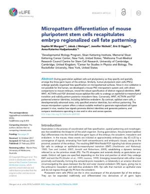 Micropattern Differentiation of Mouse Pluripotent Stem Cells Recapitulates