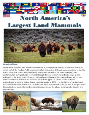 North America's Largest Land Mammals