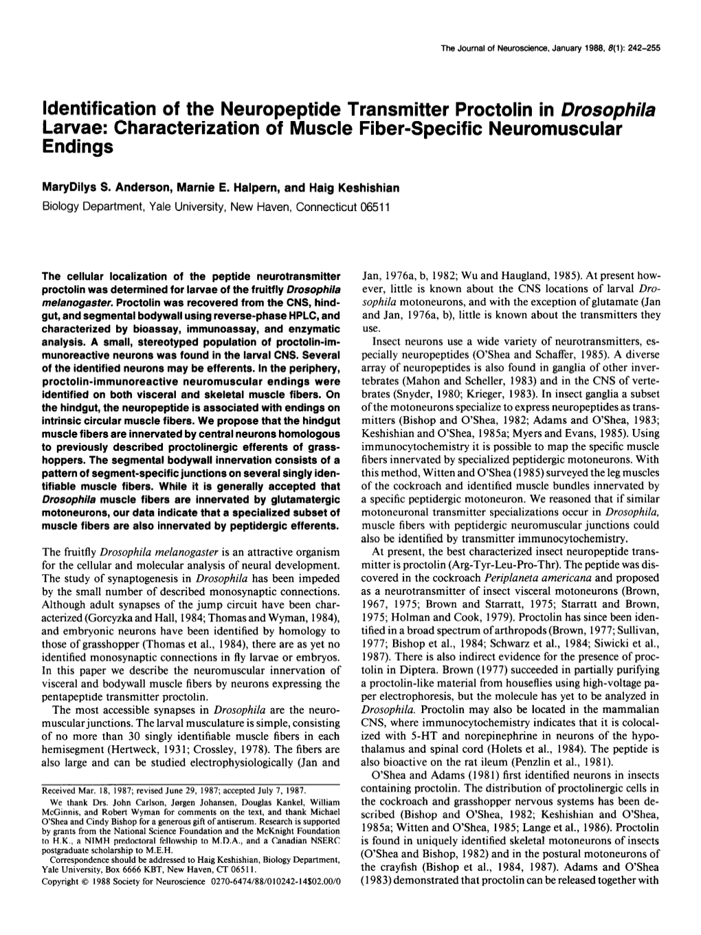 Identification of the Neuropeptide Transmitter Proctolin in Drosophila Larvae: Characterization of Muscle Fiber-Specific Neuromuscular Endings