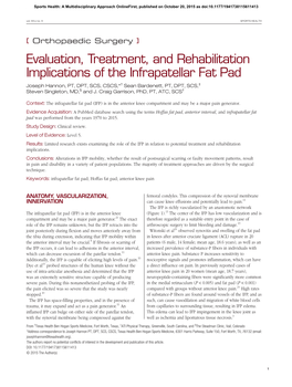 Evaluation, Treatment, and Rehabilitation Implications of The
