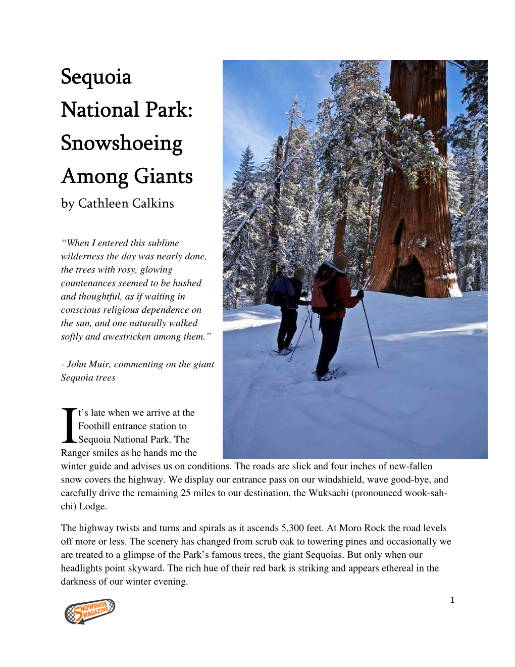 Sequoia National Park: Snowshoeing Snowshoeing Among Giants