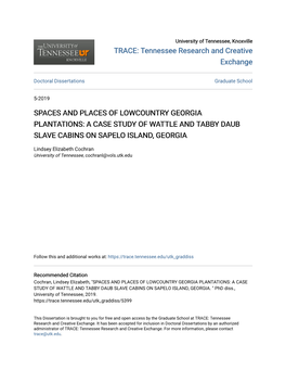 Spaces and Places of Lowcountry Georgia Plantations: a Case Study of Wattle and Tabby Daub Slave Cabins on Sapelo Island, Georgia