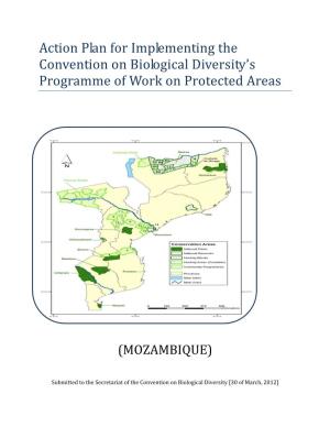 Action Plan for Implementing the Convention on Biological Diversity's