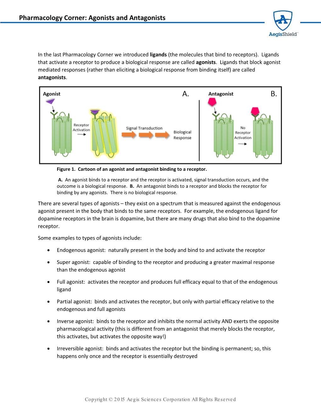 Agonists and Antagonists