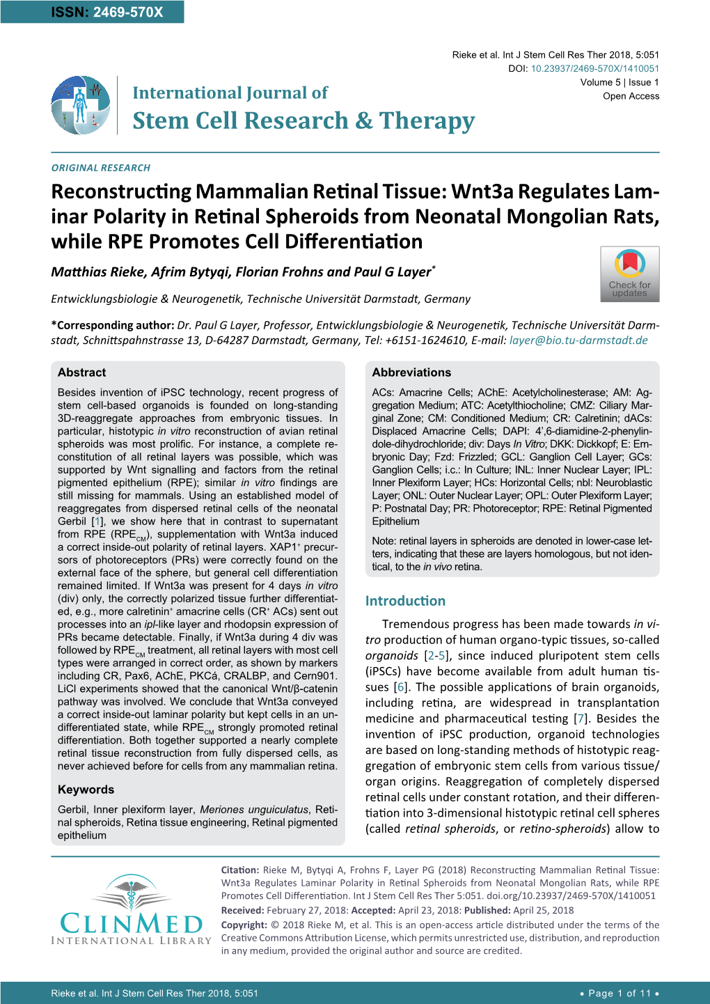 Reconstructing Mammalian Retinal Tissue