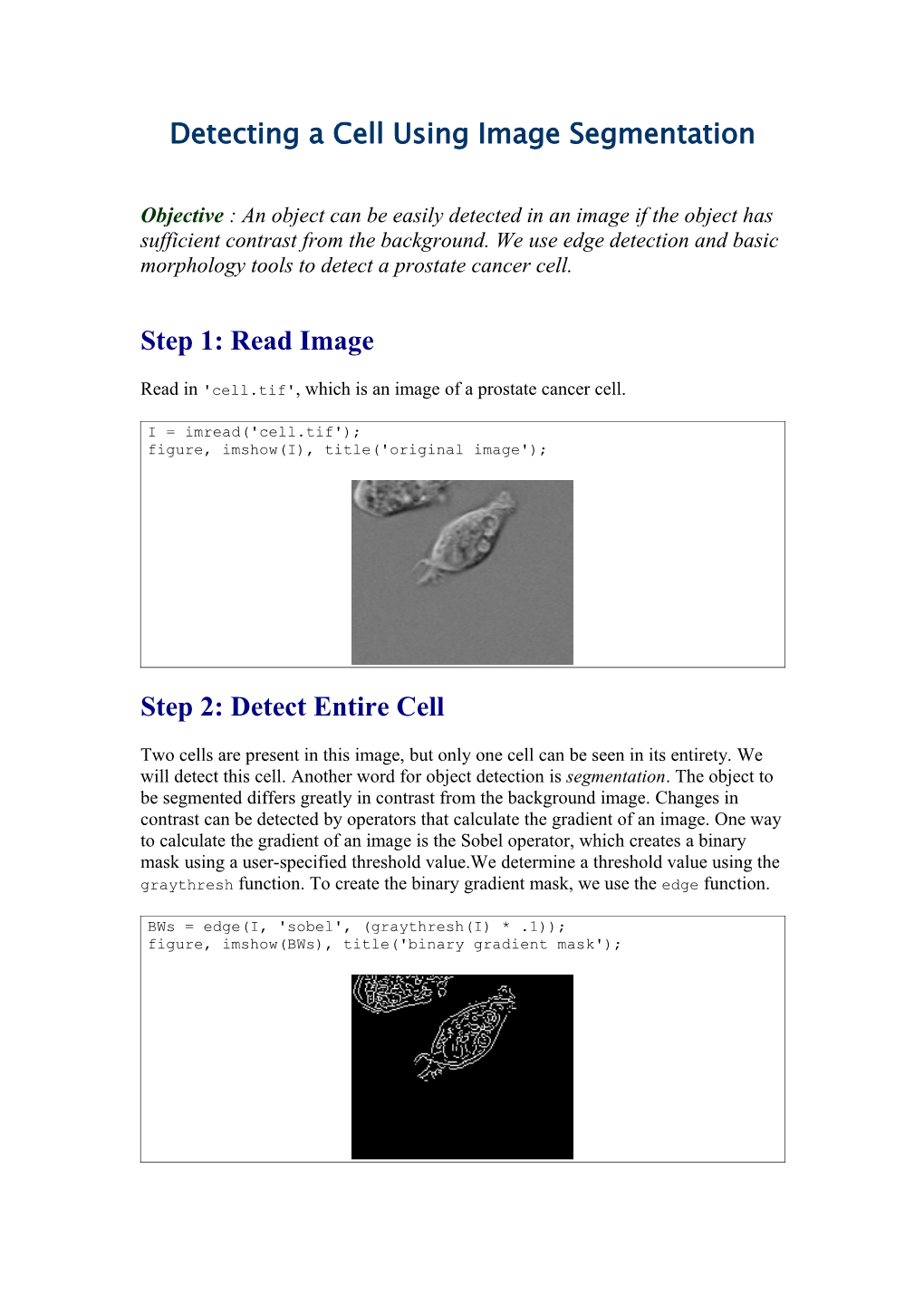 Detecting a Cell Using Image Segmentation