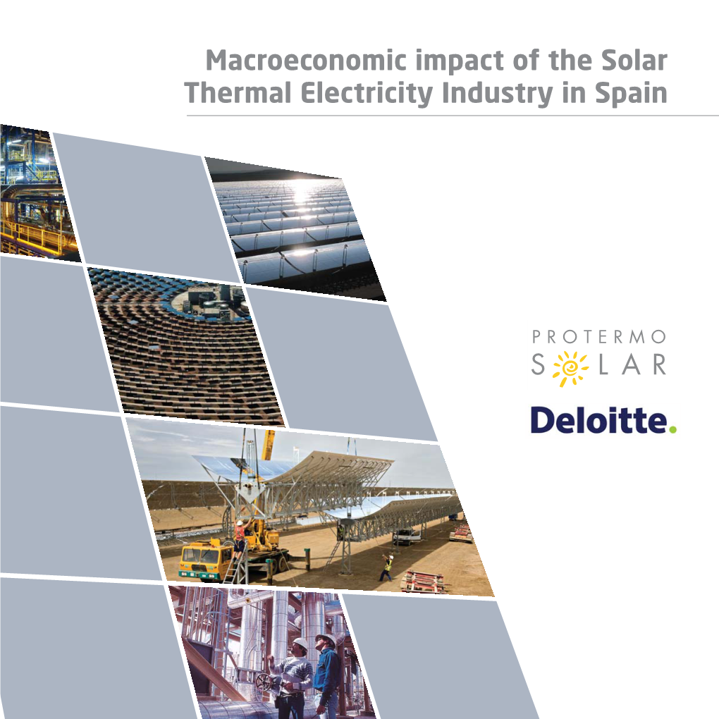 Macroeconomic Impact of the Solar Thermal Electricity Industry in Spain
