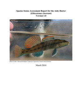 Species Status Assessment Report for the Ashy Darter (Etheostoma Cinereum) Version 1.0