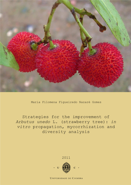Strategies for the Improvement of Arbutus Unedo L. (Strawberry Tree): in Vitro Propagation, Mycorrhization and Diversity Analysis