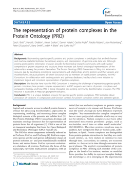 The Representation of Protein Complexes In