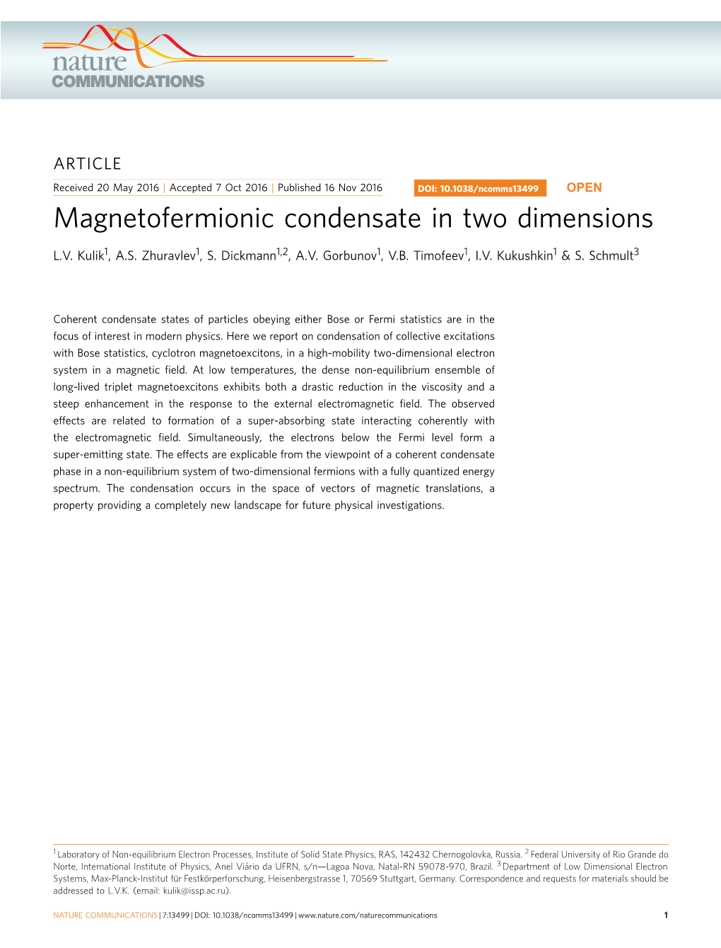 Magnetofermionic Condensate in Two Dimensions