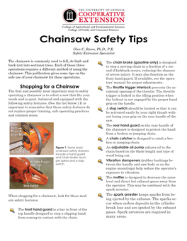 Chainsaw Safety Tips