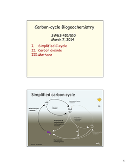 Simplified Carbon Cycle