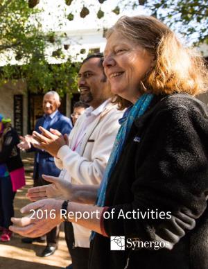 Synergos Annual Report 2017