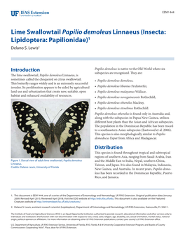 Lime Swallowtail Papilio Demoleus Linnaeus (Insecta: Lipidoptera: Papilionidae)1 Delano S