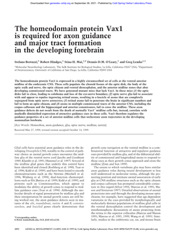The Homeodomain Protein Vax1 Is Required for Axon Guidance and Major Tract Formation in the Developing Forebrain