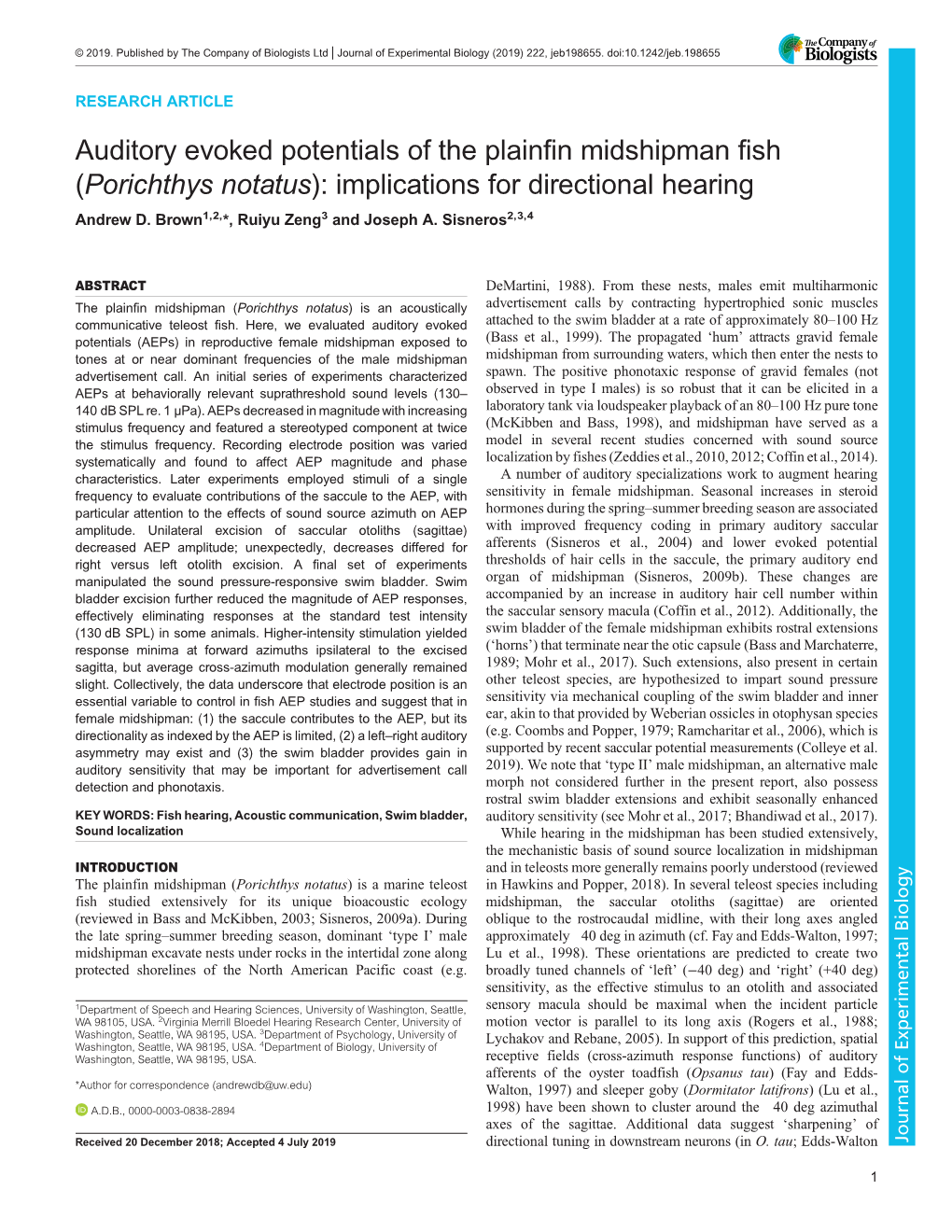 Auditory Evoked Potentials of the Plainfin Midshipman Fish (Porichthys Notatus): Implications for Directional Hearing Andrew D