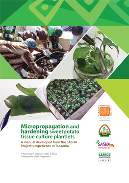 Micropropagation and Hardening Sweetpotato Tissue Culture Plantlets. a Manual Developed from the SASHA Project’S Experience in Tanzania