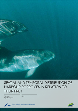 Spatial and Temporal Distribution of Harbour Porpoises in Relation to Their Prey