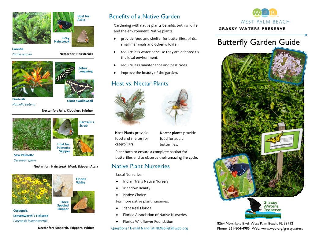 Butterfly Garden Guide Coontie  Require Less Water Because They Are Adapted to Zamia Pumila Nectar For: Hairstreaks the Local Environment